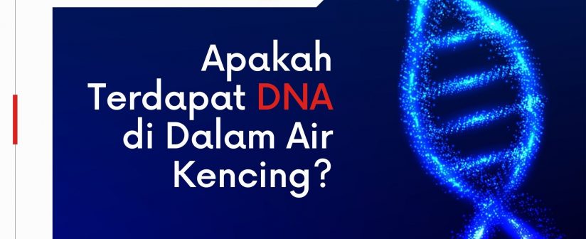 Apakah Terdapat DNA di Dalam Air Kencing?